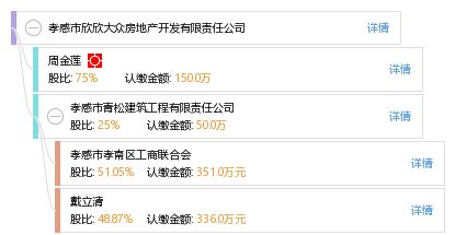 孝感市欣欣大众房地产开发有限责任公司 工商信息、信用状况与行业动态全方位解析